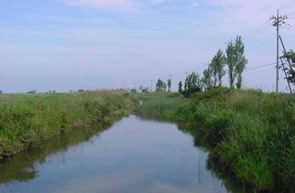 西の州干拓水路(北水路、東水路、南水路)